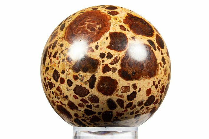 Polished Bauxite (Aluminum Ore) Sphere - Russia #316268